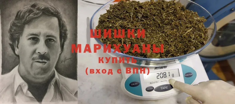 где купить наркотик  Кузнецк  Шишки марихуана марихуана 